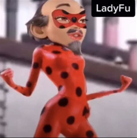 bag lady meme|ladybug video.